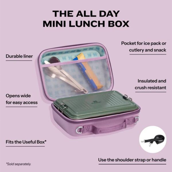 ظرف غذا Lunch box